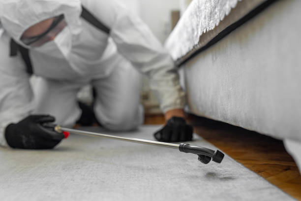 Professional Pest Control technician working in Trenton, MO