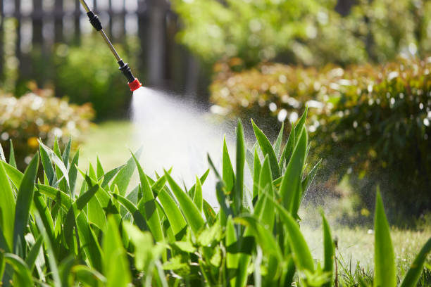 24/7 Emergency Rodent Control experts in Trenton, MO