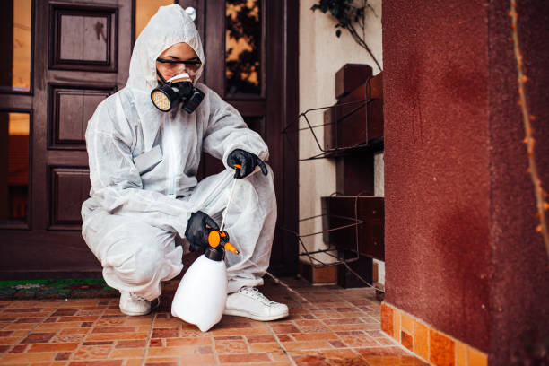 Reliable Rodent Control contractor in Trenton, MO by Nex Pest Control
